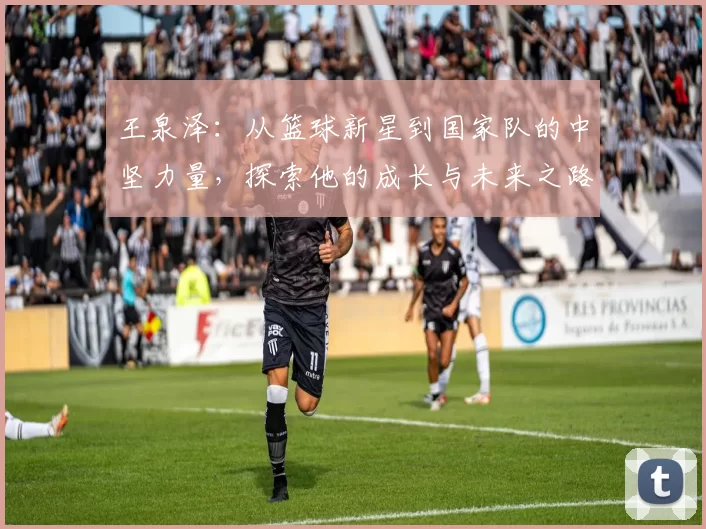 王泉泽：从篮球新星到国家队的中坚力量，探索他的成长与未来之路