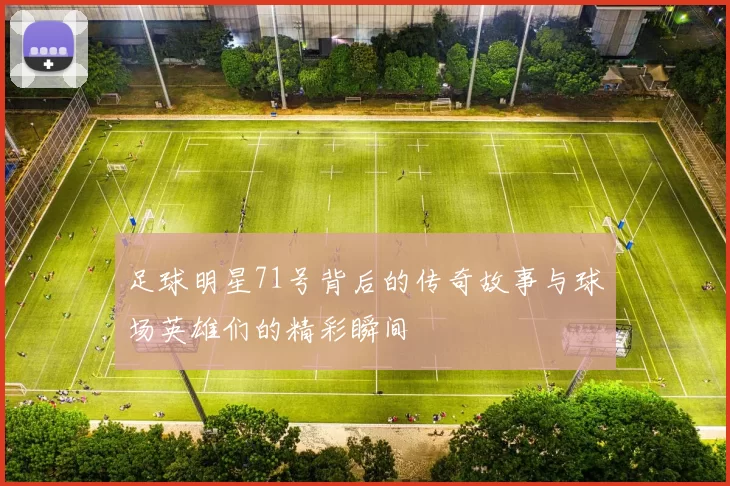 足球明星71号背后的传奇故事与球场英雄们的精彩瞬间