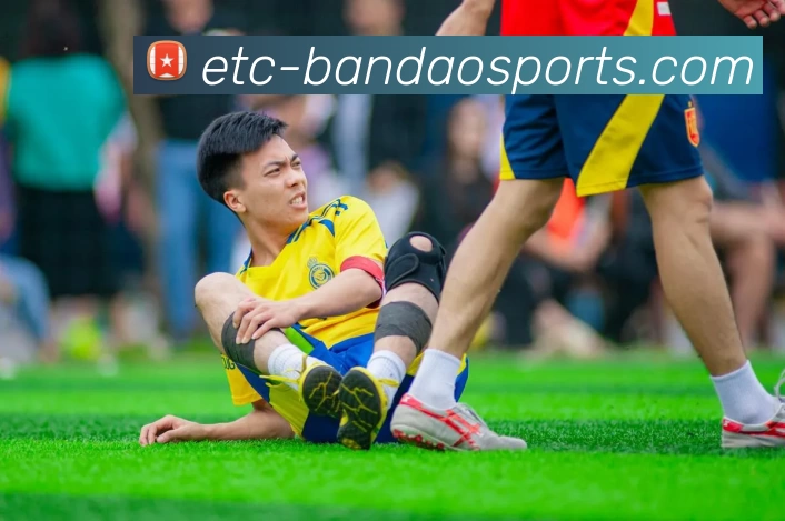 BANDAO SPORTS平台生态图
