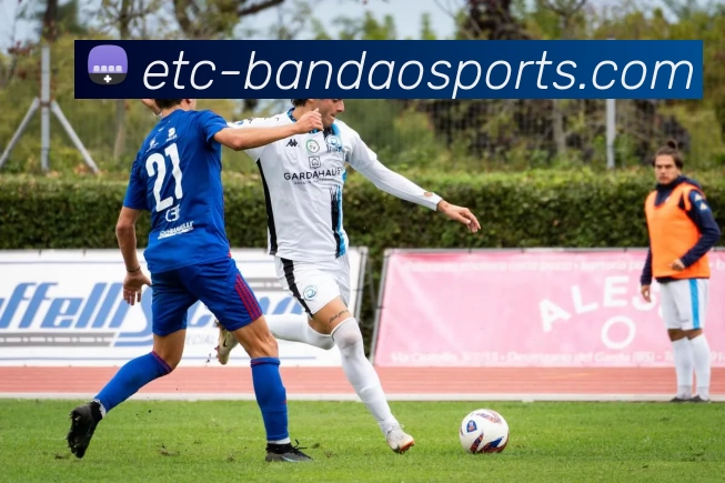 BANDAO SPORTS全站App